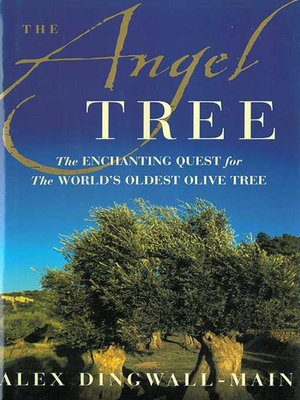 cover image of The Angel Tree: the Enchanting Quest for the World's Oldest Olive Tree